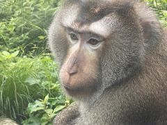 -黔灵山公园