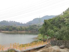 -水濂山森林公园