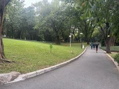-晓港公园