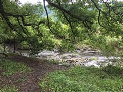 -石台牯牛降景区