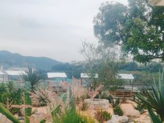 -Brew Farm·精酿农场海滨悬崖餐厅