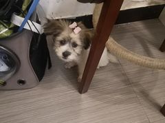 -白熊咖啡(闽江大道店)