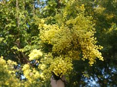 -厦门国家会计学院