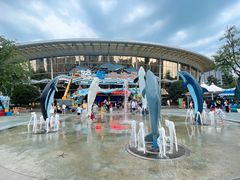 -海合安成都极地海洋公园