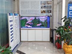 -上海仁爱医院