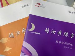 -赵汝飞练字硬笔书法(静安大融城校区)