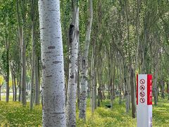 -东郊湿地公园