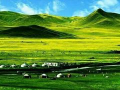 -马学武手抓美食(下南关总店)