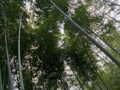 -陶祖圣境风景区