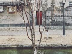-春风习习