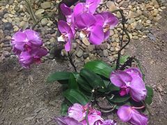 -广东茂名森林公园