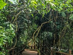 -中国科学院西双版纳热带植物园