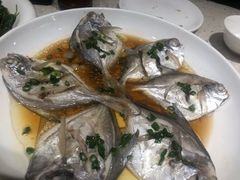 清蒸深海大黄鱼-阿莉餐厅(枣阳路店)