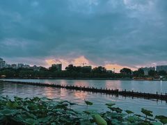 -济南大明湖景区