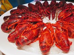 -红盔甲·小龙虾(天钥桥店)