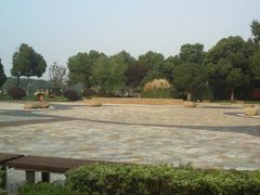 -昆山城市生态森林公园