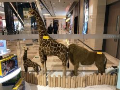 -So Sweet 儿童美发(昆明恒隆广场店)