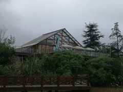 -桤木河湿地公园