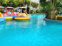 -南宫五洲植物乐园