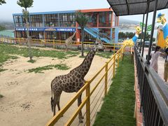 -西霞口神雕山野生动物世界