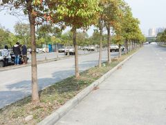 -无忧学车·大众驾校(长宁校区)