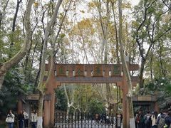 -灵谷景区