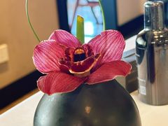 -伯衡55·吉品轩(乌鲁木齐南路店)