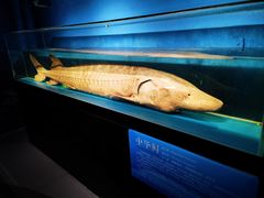 -国家自然博物馆