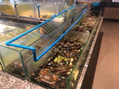 -Isla Sugbu Seafood City