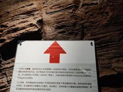 -正佳自然科学博物馆