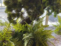 -苏淮景·苏闽融创菜·海鲜(原空港井河轩店)