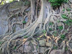 -威远炮台
