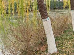 -南翠屏公园
