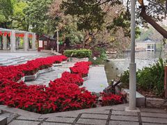 -荔湾湖公园