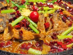 -老板恋上鱼(高新万达店)