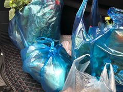 -龙大花卉苗木市场