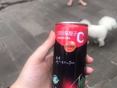 -水磨古镇