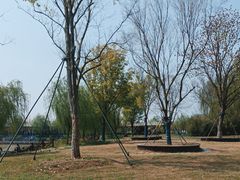 -泗洪洪泽湖湿地景区