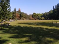 -深圳仙湖植物园