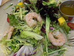 -HELLO 27 意面·沙拉·帕尼尼