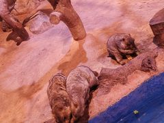 -正佳雨林生态植物园
