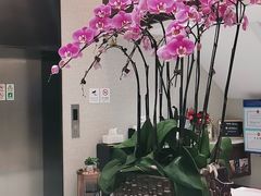 -TSK齿科德申会口腔门诊·联洋诊所