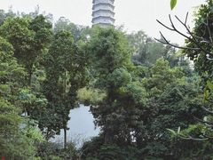 -深圳国际园林花卉博览园