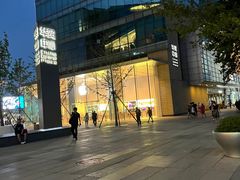 -Apple零售店(华贸购物中心店)