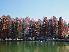 -中国科学院华南植物园