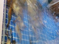 -诸暨祥生世纪酒店