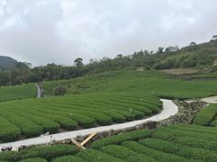 -优游吧斯邹族文化部落