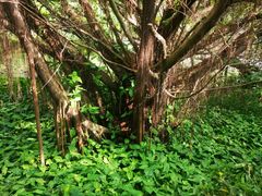 -草庵摩尼教遗址公园