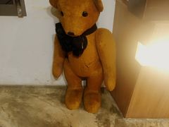 -济州岛泰迪熊博物馆