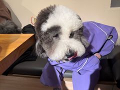 -小意思咖啡店(草桥店)